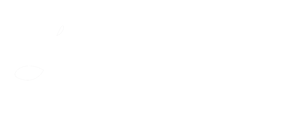 Lash Lounge by Marcela